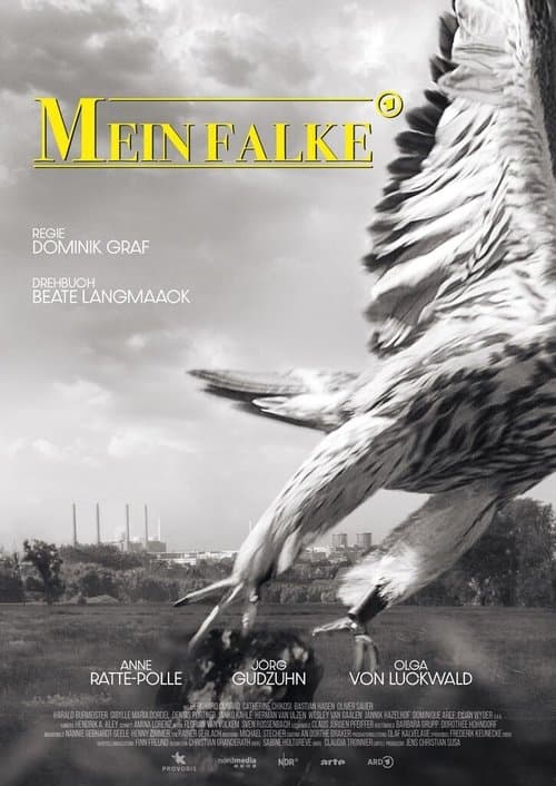 Director's Movie Image