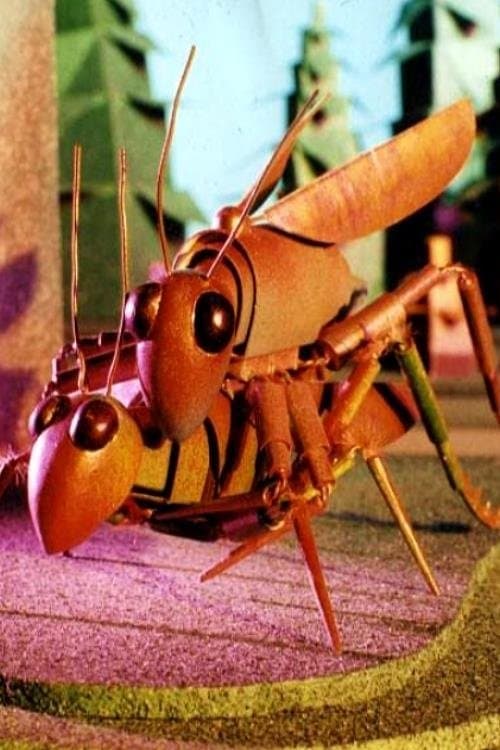 Director's Movie Image