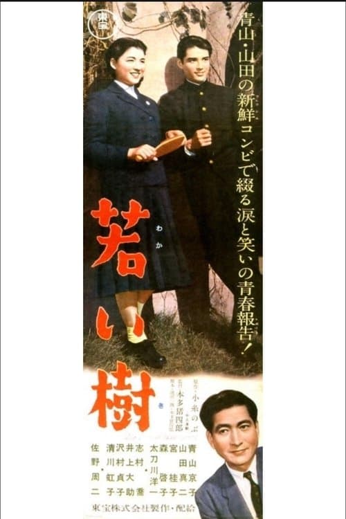 Director's Movie Image