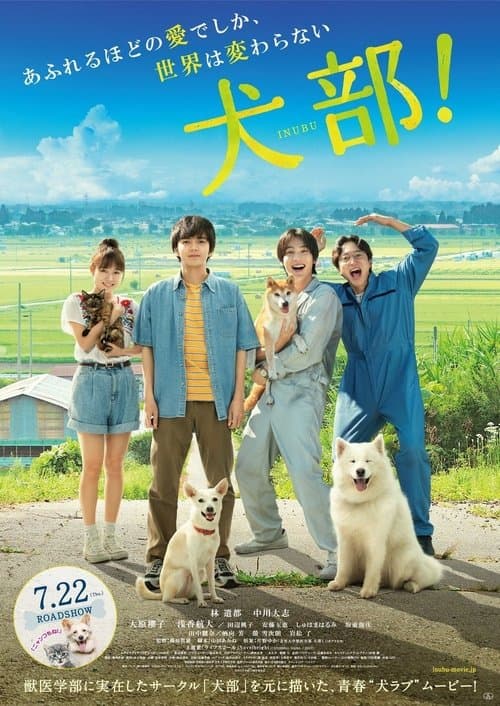 Director's Movie Image