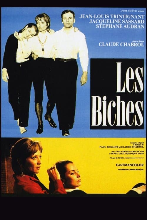 Director's Movie Image
