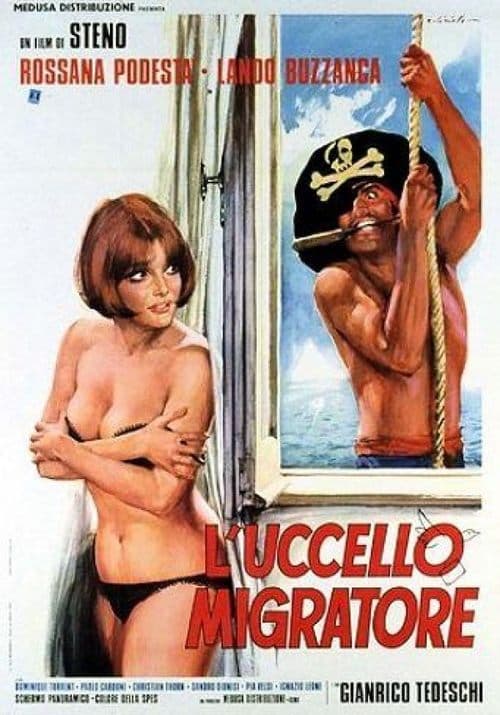Director's Movie Image