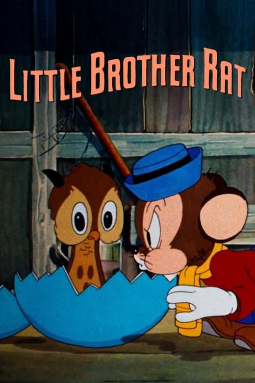 Director's Movie Image