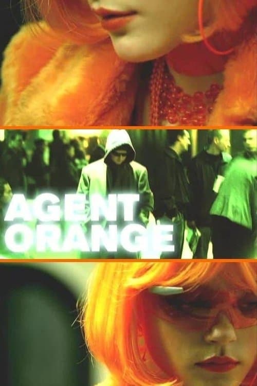 Director's Movie Image