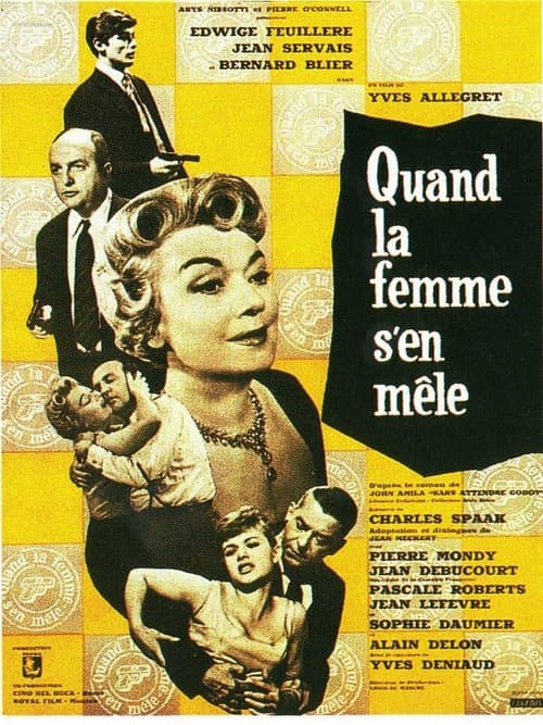 Director's Movie Image