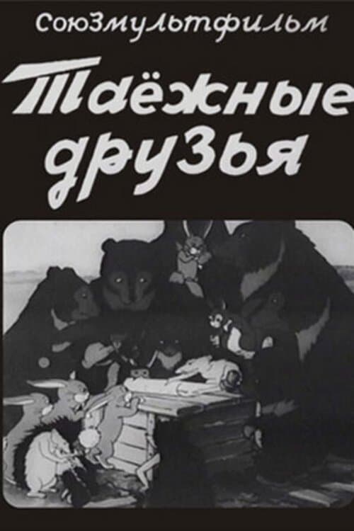 Director's Movie Image