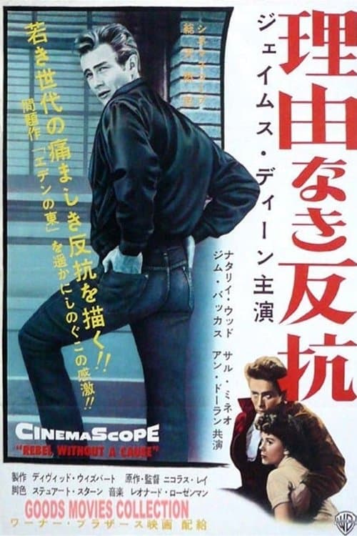 Director's Movie Image