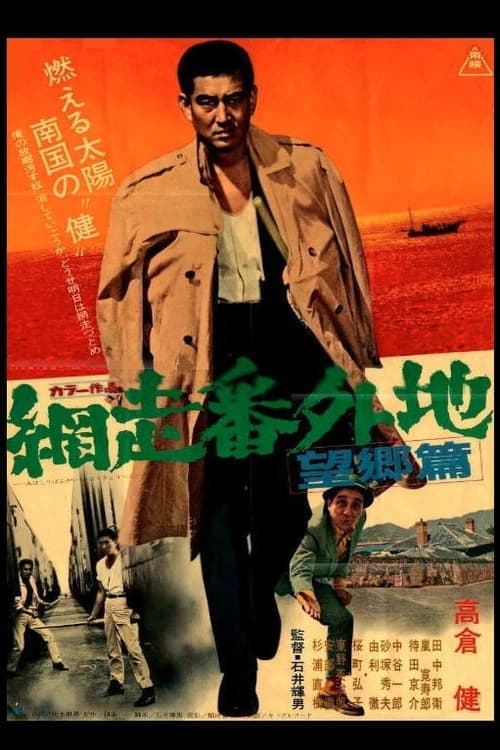 Director's Movie Image