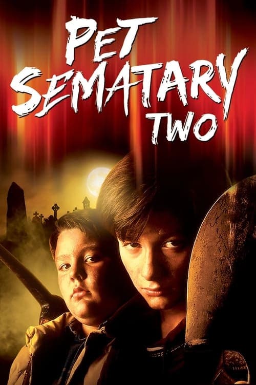 Director's Movie Image