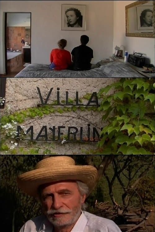 Director's Movie Image