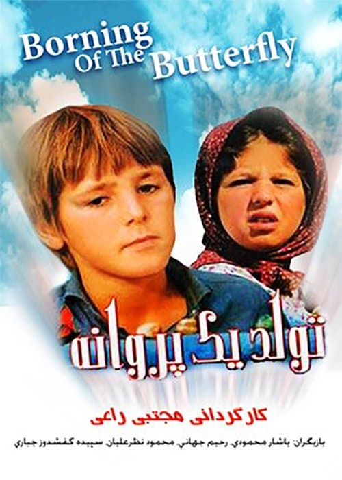 Director's Movie Image
