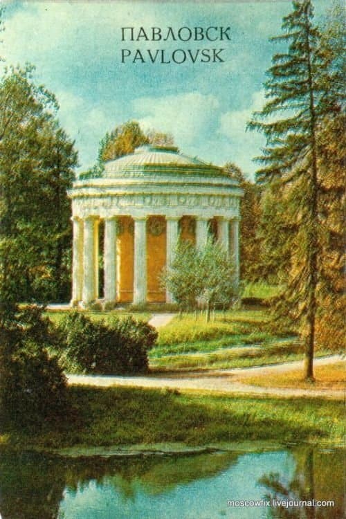 Director's Movie Image