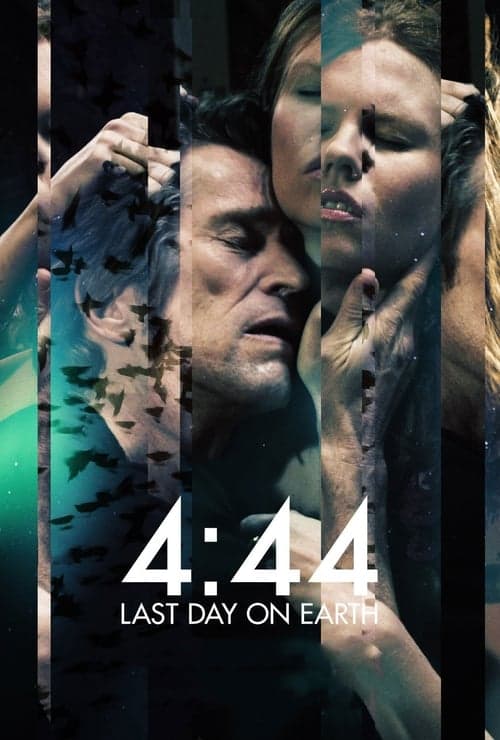 Director's Movie Image