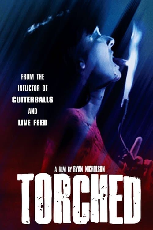 Director's Movie Image