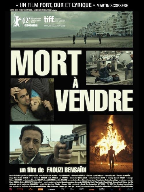 Director's Movie Image