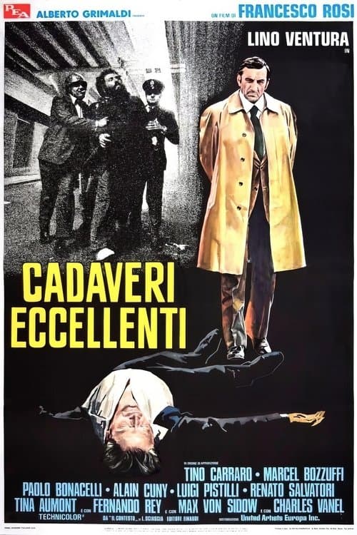 Director's Movie Image