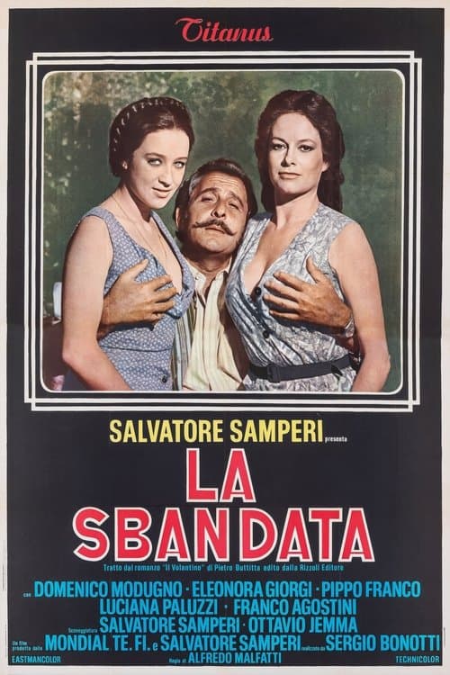 Director's Movie Image