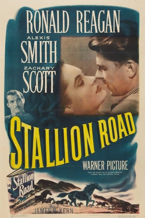 Director's Movie Image