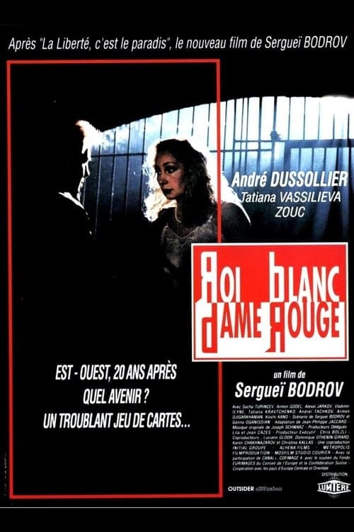 Director's Movie Image