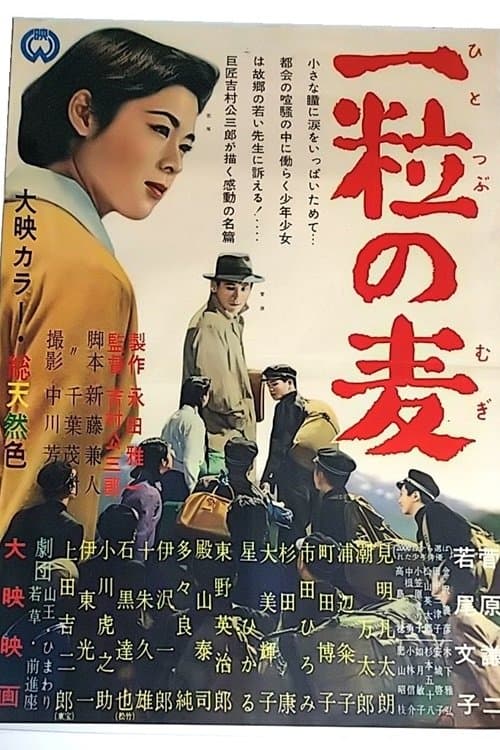 Director's Movie Image