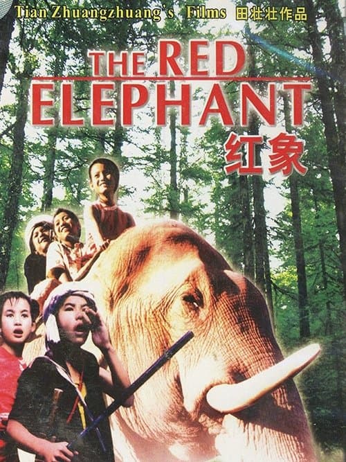 Director's Movie Image