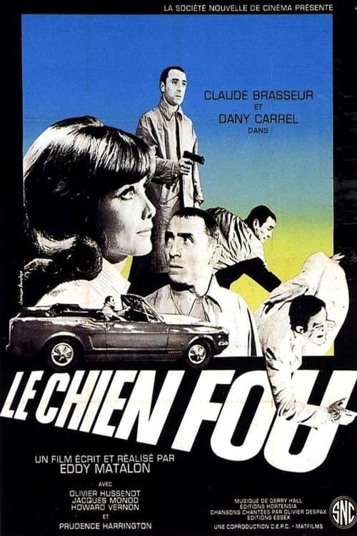 Director's Movie Image