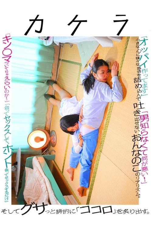 Director's Movie Image