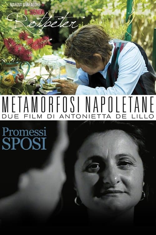 Director's Movie Image