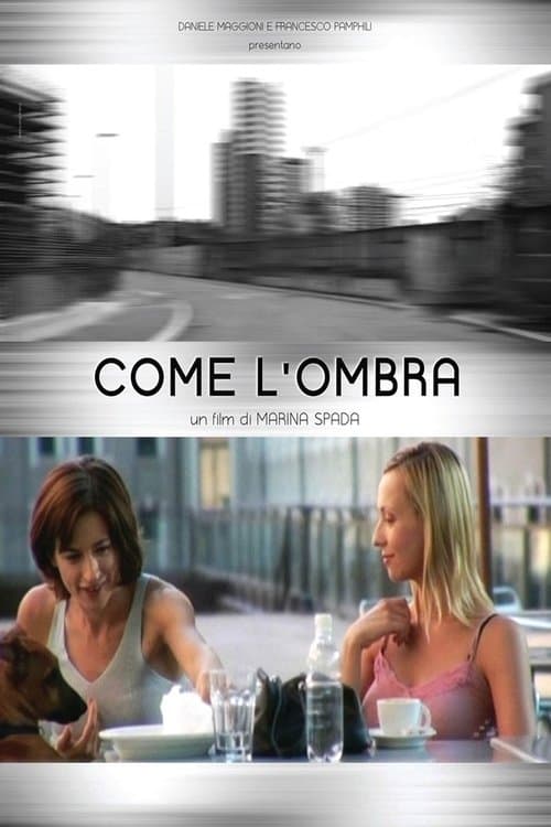 Director's Movie Image