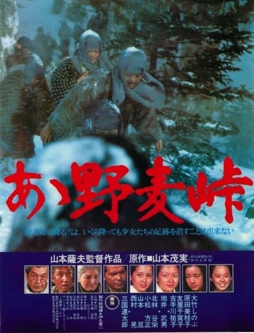 Director's Movie Image