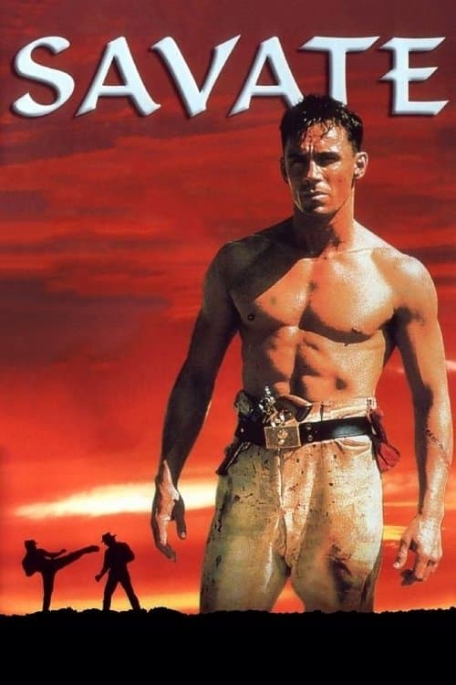 Director's Movie Image