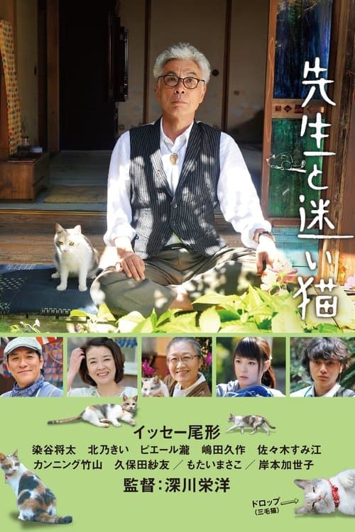 Director's Movie Image