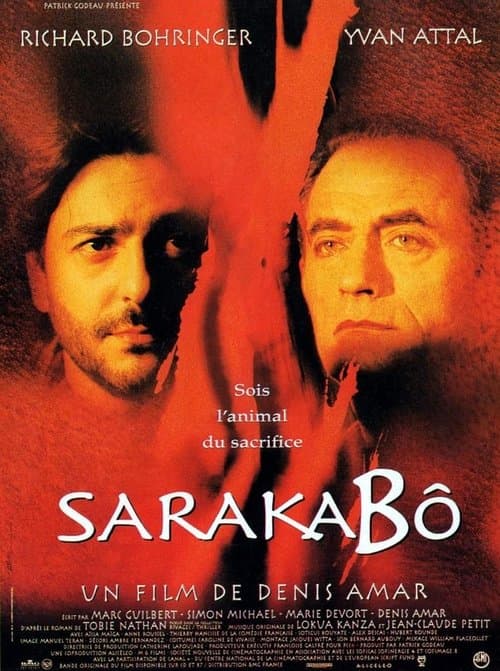 Director's Movie Image