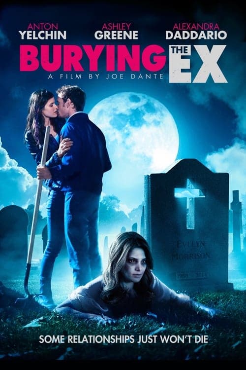 Director's Movie Image