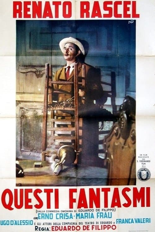 Director's Movie Image