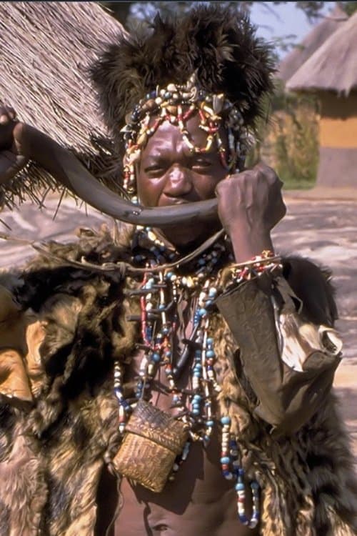 Director's Movie Image
