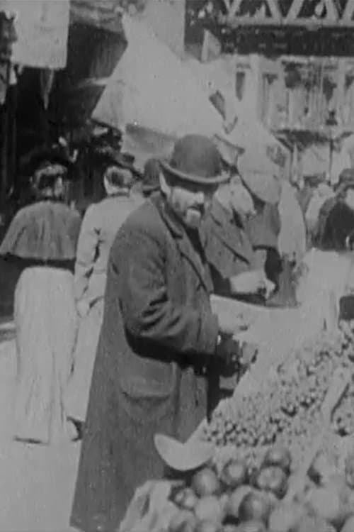 Director's Movie Image