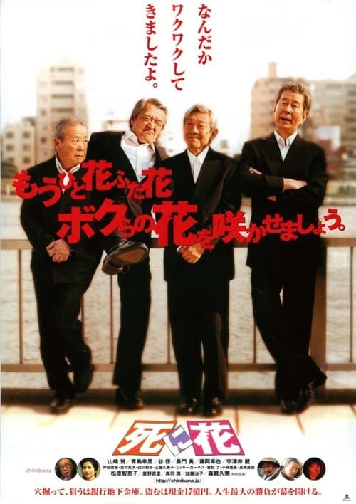 Director's Movie Image