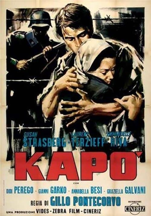 Director's Movie Image