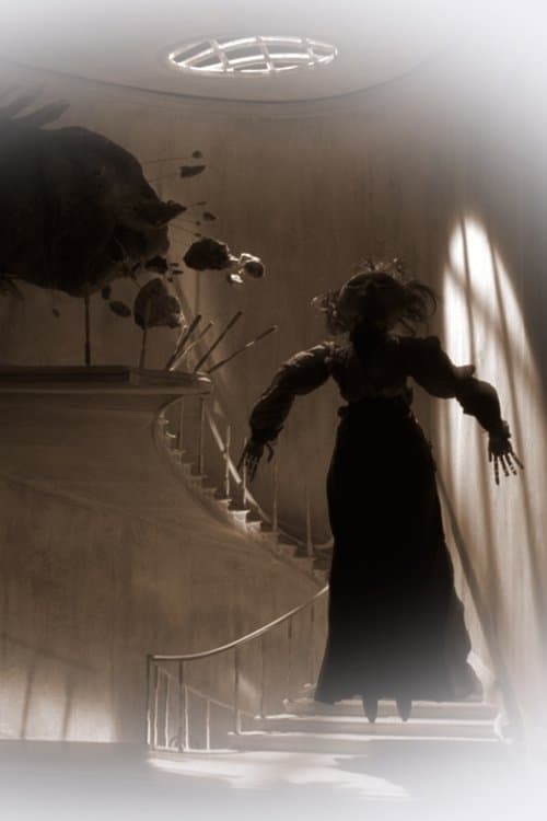 Director's Movie Image