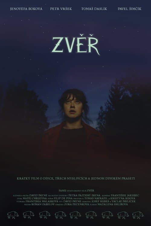 Director's Movie Image