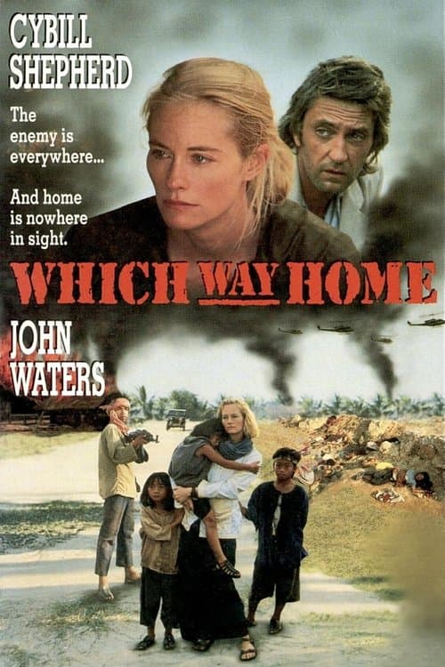 Director's Movie Image