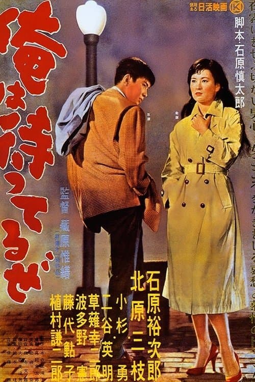 Director's Movie Image