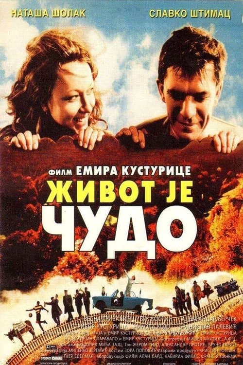 Director's Movie Image
