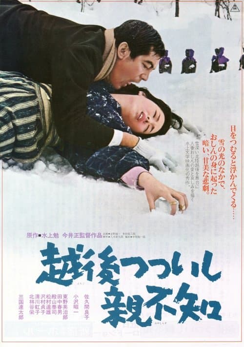 Director's Movie Image