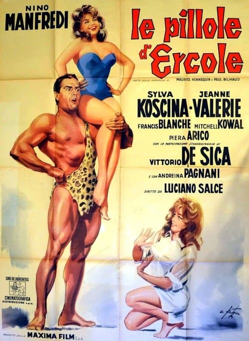 Director's Movie Image