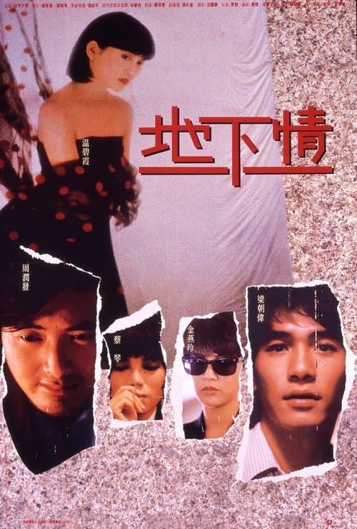Director's Movie Image