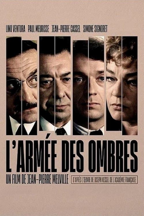 Director's Movie Image
