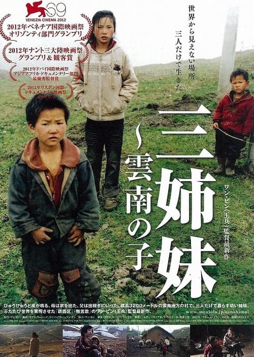 Director's Movie Image