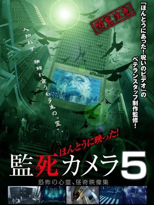 Director's Movie Image
